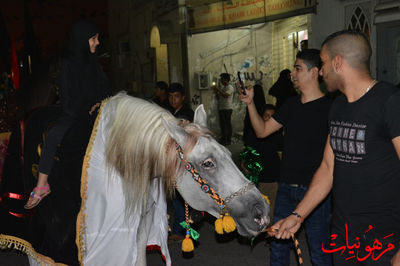 DSC_0155.jpg