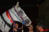 DSC_0186.jpg