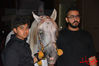 DSC_0194.jpg