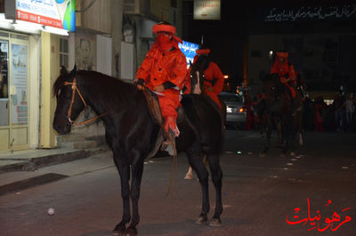 DSC_0486.jpg