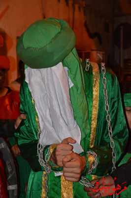 DSC_0557.jpg