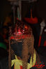 DSC_0611.jpg