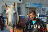 DSC_0017.jpg