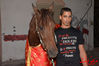 DSC_0076.jpg