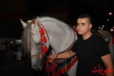 DSC_0175.jpg