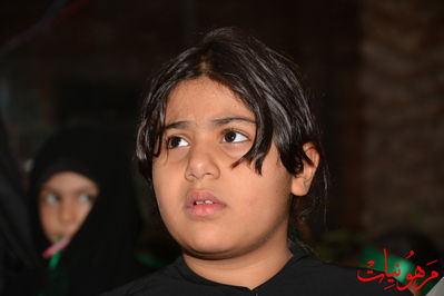DSC_0082.jpg